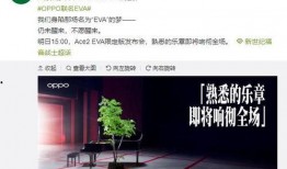 G沙河最新爆料,最新爆料背后的真相与影响